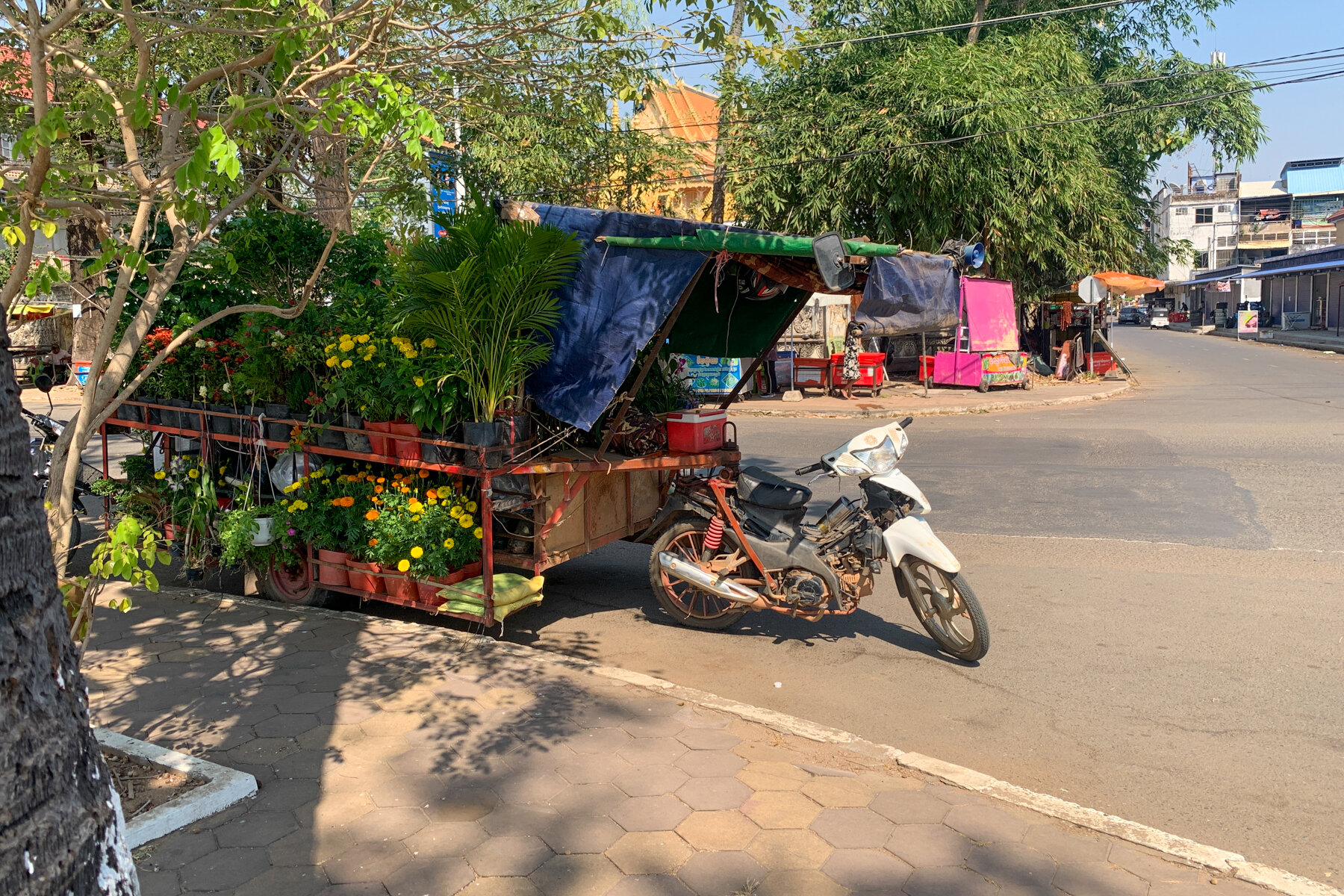 Begin your visa-prepared day with Laos’s tranquil ambiance